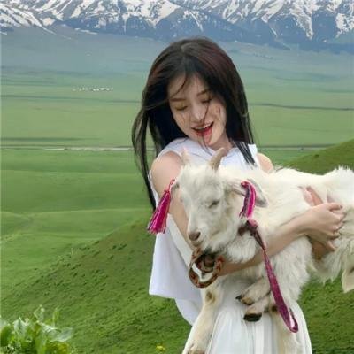 来了！张宝利国语